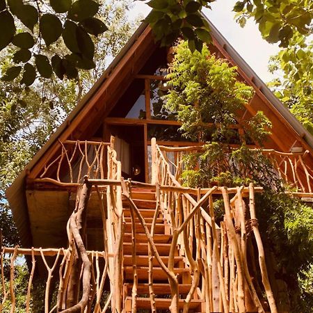 하바라나 Angry Birds Tree House 아파트 외부 사진