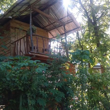 하바라나 Angry Birds Tree House 아파트 외부 사진