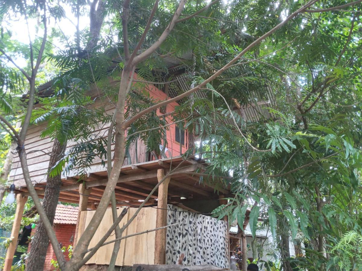 하바라나 Angry Birds Tree House 아파트 외부 사진