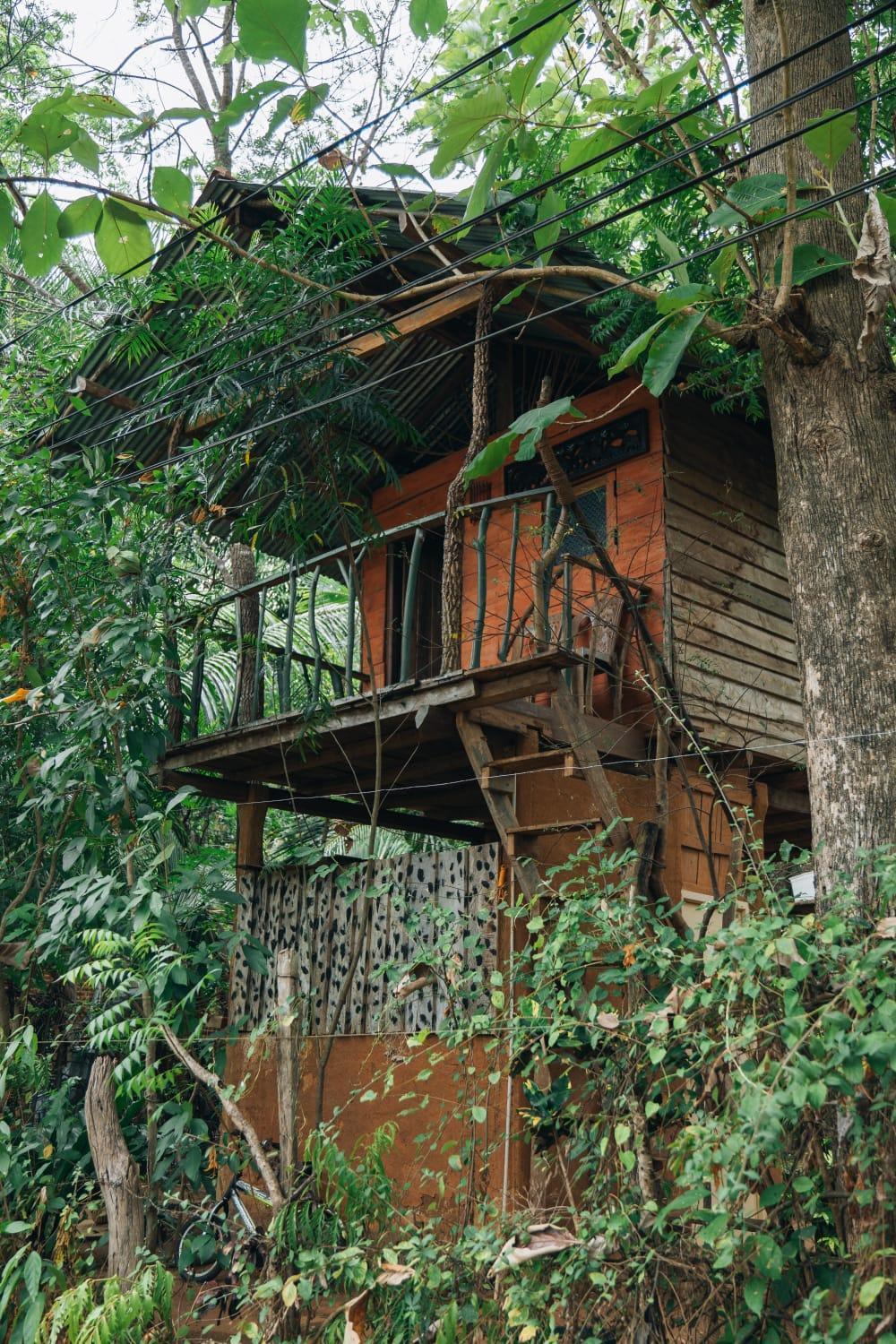 하바라나 Angry Birds Tree House 아파트 외부 사진