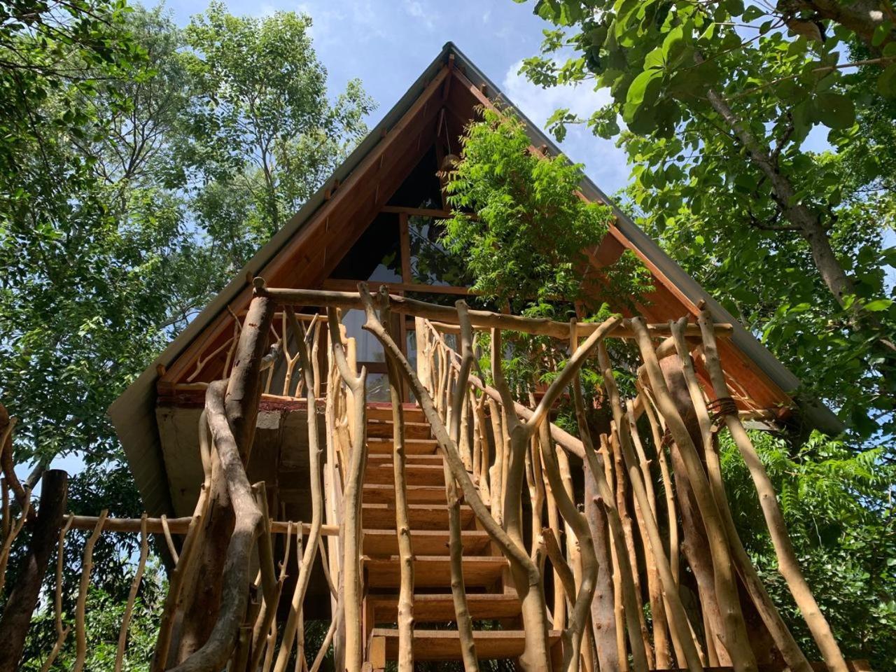 하바라나 Angry Birds Tree House 아파트 객실 사진