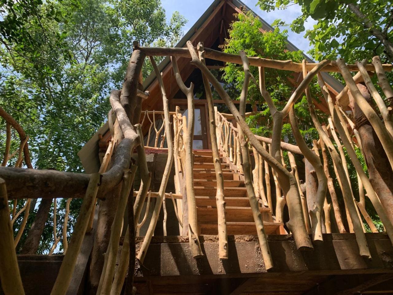 하바라나 Angry Birds Tree House 아파트 외부 사진