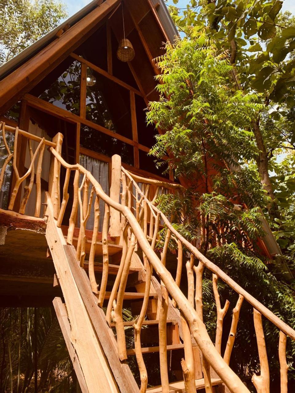 하바라나 Angry Birds Tree House 아파트 외부 사진