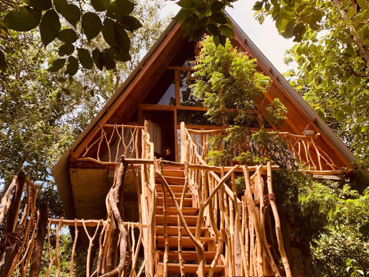 하바라나 Angry Birds Tree House 아파트 외부 사진