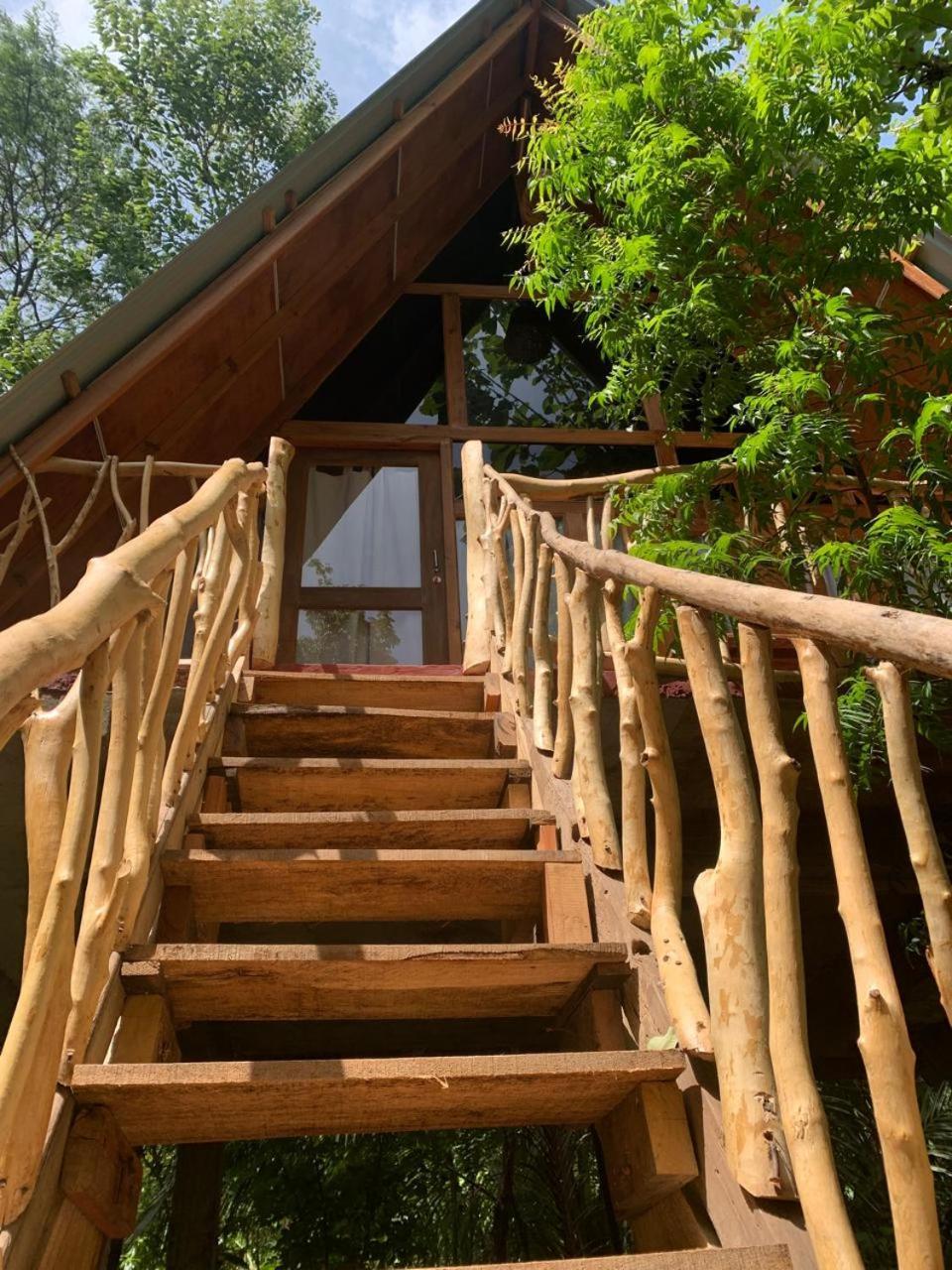 하바라나 Angry Birds Tree House 아파트 외부 사진