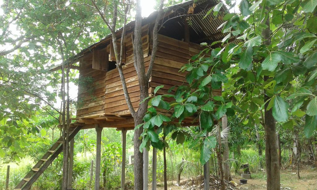 하바라나 Angry Birds Tree House 아파트 외부 사진