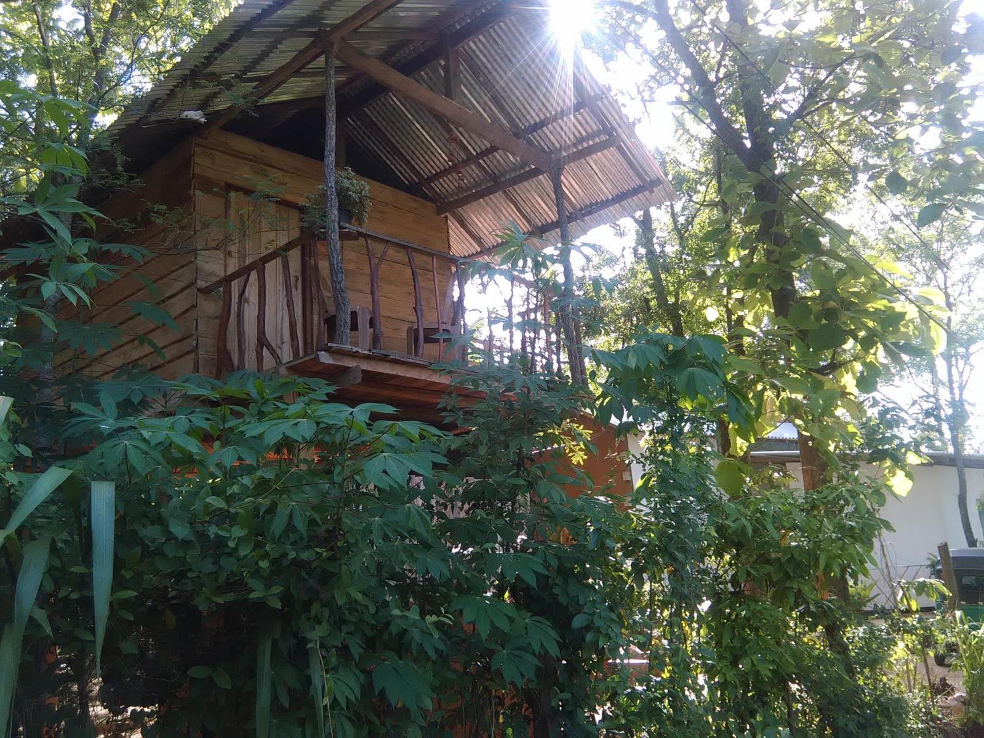 하바라나 Angry Birds Tree House 아파트 외부 사진