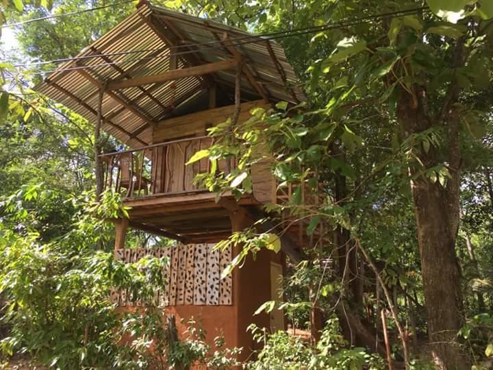 하바라나 Angry Birds Tree House 아파트 외부 사진