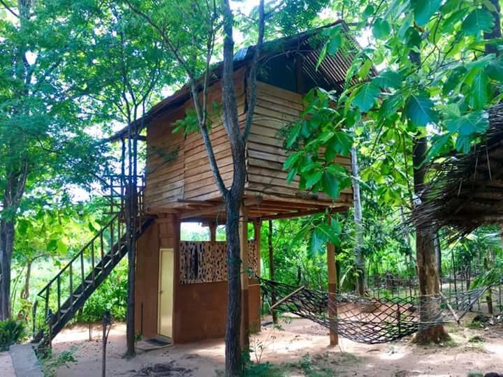 하바라나 Angry Birds Tree House 아파트 외부 사진