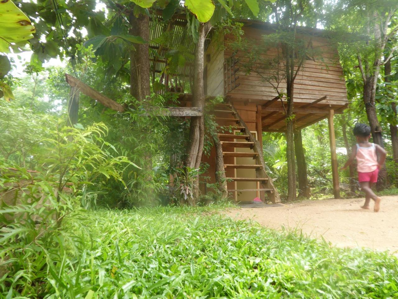 하바라나 Angry Birds Tree House 아파트 외부 사진
