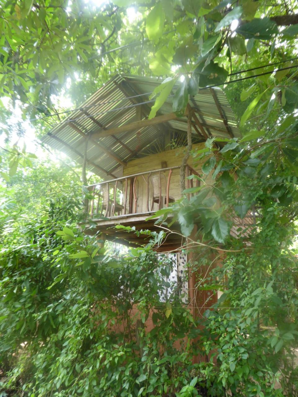 하바라나 Angry Birds Tree House 아파트 외부 사진
