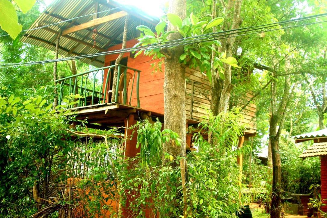 하바라나 Angry Birds Tree House 아파트 외부 사진
